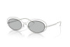 Zonnebril Emporio Armani EA 2160 (301587)