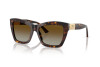 Sonnenbrille Jimmy Choo JC 5031 (5002T5)