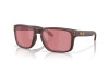 Occhiali da Sole Oakley Holbrook OO 9102 (9102Z2)