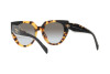 Sonnenbrille Prada PR 14WS (3890A7)