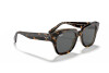 Zonnebril Ray-Ban State Street RB 2186 (1292B1)