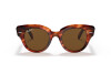 Occhiali da Sole Ray-Ban Roundabout RB 2192 (954/57)