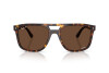 Occhiali da Sole Ray-Ban RB 2213CH (902/AN)