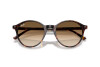 Occhiali da Sole Ray-Ban Bernard RB 2230 (902/51)