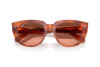 Occhiali da Sole Ray-Ban Doreen RB 2286 (1415A5)