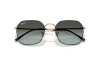 Occhiali da Sole Ray-Ban Jim RB 3694 (9271GK)