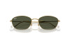 Occhiali da Sole Ray-Ban RB 3749 (001/31)