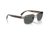 Occhiali da Sole Ray-Ban RB 3751 (004/B1)