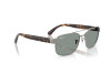 Occhiali da Sole Ray-Ban RB 3751CH (004/3R)