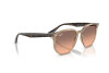 Occhiali da Sole Ray-Ban RB 4306 (678846)