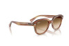 Occhiali da Sole Ray-Ban Erik RB 4398 (140351)