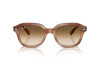 Occhiali da Sole Ray-Ban Erik RB 4398 (140351)