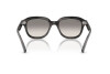 Occhiali da Sole Ray-Ban Erik RB 4398 (140432)