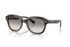 Occhiali da Sole Ray-Ban Erik RB 4398 (140432)