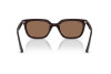 Occhiali da Sole Ray-Ban RB 4439D (623173)