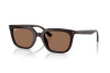 Occhiali da Sole Ray-Ban RB 4439D (623173)