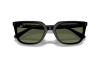 Occhiali da Sole Ray-Ban RB 4439D (901/9A)