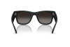 Occhiali da Sole Ray-Ban RB 4840S (601ST3)