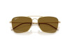 Occhiali da Sole Ray-Ban Caravan Reverse RB R0102S (001/83)