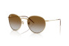 Occhiali da Sole Ray-Ban Round Reverse RB R0103S (001/CB)