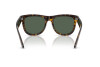 Occhiali da Sole Ray-Ban Wayfarer Reverse RB R0502S (6790VR)