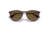 Occhiali da Sole Ray-Ban Junior Erika RJ 9060S (717973)