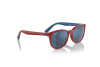 Солнцезащитные очки Ray-Ban RJ 9079S (716055)