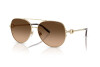 Zonnebril Ralph Lauren RL 7087 (911674)