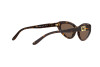 Zonnebril Ralph Lauren RL 8176 (500373)