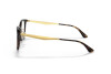 Brille Ray-Ban RX 5403D (2012) - RB 5403D 2012