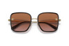 Sunglasses Versace VE 2247D (148213)