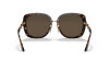 Sunglasses Versace VE 4407D (108/73)