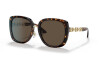 Sunglasses Versace VE 4407D (108/73)