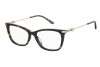 Eyeglasses Pierre Cardin P.c. 8529 107945 (086)