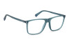 Brille Polaroid Pld D536 108831 5BF