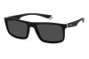 Lunettes de soleil Polaroid PLD 2134/S 205341 (08A M9)