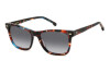 Sunglasses Carrera 3001/S 206152 (JBW 9O)