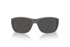 Sunglasses Arnette Floresta AN 4337 (284187)