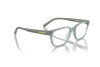 Brille Arnette Pheobe AN 7250U (2939)