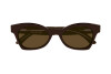 Lunettes de soleil Balenciaga BB0230S-004