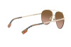 Солнцезащитные очки Burberry BE 3113 (110913)