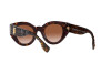 Sunglasses Burberry Meadow BE 4390 (300213)