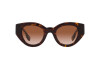 Sunglasses Burberry Meadow BE 4390 (300213)