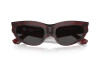 Sunglasses Burberry BE 4425U (411587)