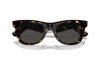 Sunglasses Burberry BE 4426 (410687)