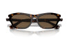 Sunglasses Burberry BE 4430U (300273)