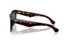 Sunglasses Burberry BE 4431U (300287)
