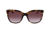 Lunettes de soleil Calvin Klein CK23500S (220)