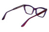 Eyeglasses Calvin Klein CK24517 (517)