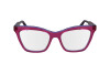 Eyeglasses Calvin Klein CK24517 (517)